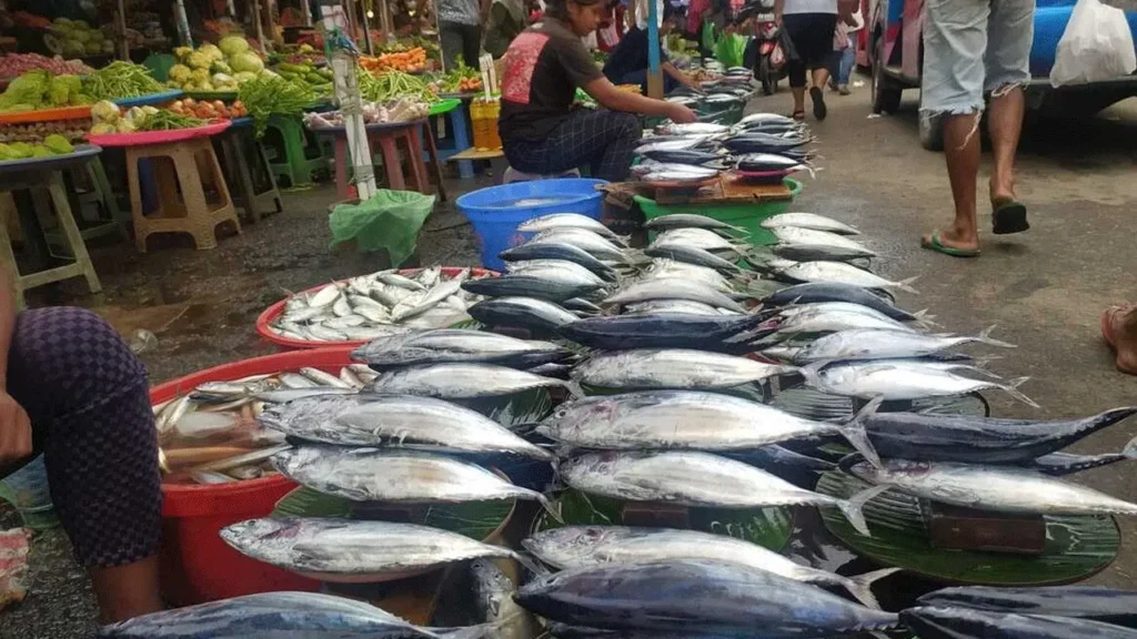 Wow! Harga Beras dan Ikan Tongkol Meroket Lagi! Cek Kenapa Ini Terjadi Pagi Ini!