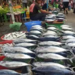 Wow! Harga Beras dan Ikan Tongkol Meroket Lagi! Cek Kenapa Ini Terjadi Pagi Ini!